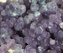 Shimmering, Purple, Botryoidal Grape Agate - Indonesia #79092-2